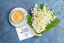 See more about flowers, coffee and coffee time. Notes Good Morning Coffee Flowers Featuring Flowers Lily Of The Valley And High Quality Arts Entertainment Stock Photos Creative Market