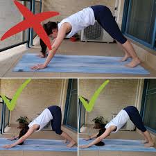 This is a great starter option for a modified downward facing dog if you can't quite manage full weight in your. Downward Dog Kt S Massage Yoga