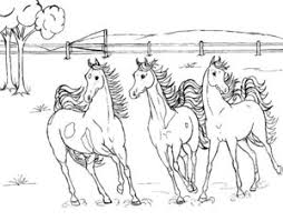 We hebben een heleboel mooie plaatjes van paarden verzameld om te downloaden / printen en in te kleuren. Paarden Kleurplaten Animaatjes Nl