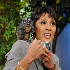 Robin Roberts