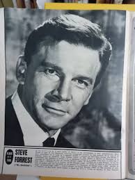 CLIPPING PIN UP steve forrest £4.76