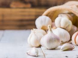 You can find the last fall frost date in your area with this calculator from the old farmer's almanac. About Garlic Seed Propagation How To Grow Seed Garlic