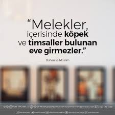 Musa Akkaya Hadis I Serifler Serif Kanal