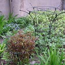 Pin On Garden Plant Support