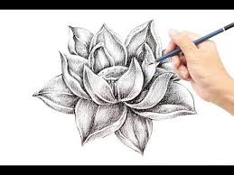 How To Drawing And Shading Lotus Flower In Pencil Youtube Lotus Flower Drawing Lotus Flower Lotus Flower Tattoo I hope you will learn with me the pencil shading technique. how to drawing and shading lotus flower