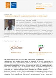 La Patate Douce Se Transforme En Mauritanie Entretien Avec Hawa War Alimenterre
