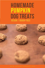 Grain Free Dog Treat Recipe Pumpkin Cookies Long Haul Trekkers Recipe Grain Free Dog Treats Recipes Dog Treats Grain Free Dog Biscuit Recipes