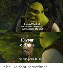 Donkey Think Of The Saddest Thing That S Ever Happened To You 13 Year Old Girls Ah Man Where Do I Begin It Be Like That Sometimes Be Like Meme On Me Me