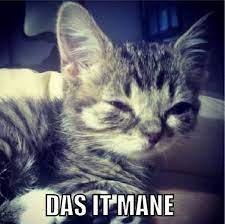 Das It Mane Know Your Meme