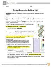 Mar 21, 2021 · librivox about. Building Dna Docx Name Date Student Exploration Building Dna Vocabulary Double Helix Dna Enzyme Mutation Nitrogenous Base Nucleoside Nucleotide Course Hero