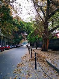 Opened in 1988, cairo opera house is the main performing arts venue in cairo, and home to egypt's most acclaimed musical groups. Beautiful Street In Zamalek Cairo Cairo Cairo Egypt Beautiful Streets