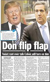 Image result for michael cohen daily news