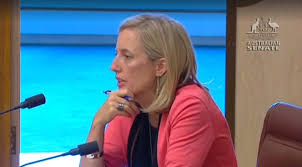 Maybe you would like to learn more about one of these? Labor S Katy Gallagher Accuses Communications Minister Mitch Fifield Of Mansplaining Daily Mail Online