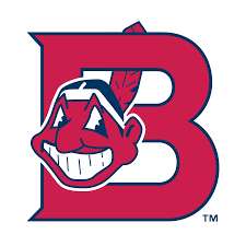 No physical item will be shipped. Burlington Indians 58782 Vector Logo Download Free Svg Icon Worldvectorlogo