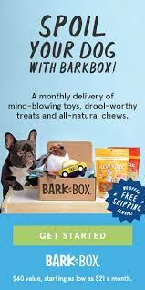 give your dog the joy of a million belly scratches with barkbox dog treat toys pet owners pets