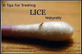 10 Tips To Get Rid Of Lice Naturally Nourishing Simplicity