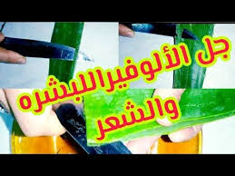 كيف نستخرج جل الألوفيرا من الصبار وكيف نستخدمه للبشره والشعر وكيف نحافظ عليه اطول فتره ممكنه youtube gum food candy