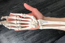 I have pain and swelling on the joint at the base of my pinky. Why So Many Flutists Have Right Hand Pain The Flute Examiner