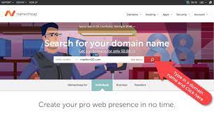My Step By Step Guide To Buying A Domain Name With Namecheap Blogging On A Budget Free Website Domain Website Domains Domain