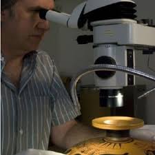 PDF) Science at the Interface with Art