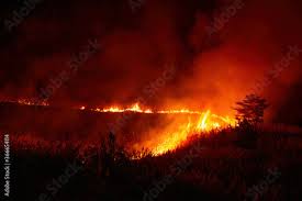 Image result for tbn:XVFRz-6Maj2JLM::www.jolmag.co.za/wildfire/images/Logos/vuvuzela_header.jpg