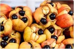 Image result