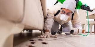Uncover why budget pest control, inc. Call Today For Professional Pest Control Marketing And Pest Control Seo