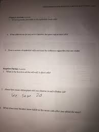 What is the cell structure of animalia. Lab 5 Investigation Of Cell Structure Function And Chegg Com