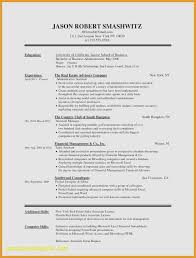 Resume format for Experienced In Ms Word Luxury Word Resume Template ...