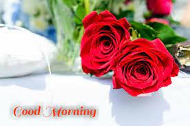 Good morning rose 1080p 2k 4k 5k hd wallpapers free. 20 Flowers Good Morning Images Good Morning Images Love
