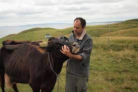 Pour devenir citoyen canadien il faut faire une demande de citoyenneté canadienne après avoir physiquement résidé au canada pendant quatre ans (1,460 jours) au cours des six années précédant. Canadienne Cow Cheese And Toast