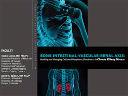 Members of the health care team, including pharmacists, physicians, and registered dietitians, must communicate complex messages, often in a short amount of time. Bone Intestinal Vascular Renal Axis Modeling And Managing Calcium Phosphorus Disturbances In Chronic Kidney Disease Transcript