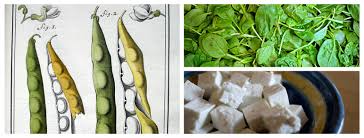Le haricot, ou haricot commun (phaseolus vulgaris l.), est une espèce de plantes annuelles de la famille des fabaceae (légumineuses, papilionacées). La Recette Des Haricots Geants Aux Epinards Et A La Feta