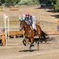Woodside Spring Horse Trials — The Horse Park at event image