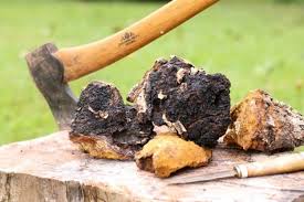Boil the mixture for 30 to 45 minutes. How To Make Chaga Tea At Home Earth Food And Fire