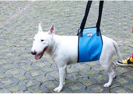 Dog Leg Walking Aid Back Belt Pet Old Dog Hindlegs Injury Protection Dog Walking Aid Carries Upstair Dog Walking Dog Leg Old Dogs