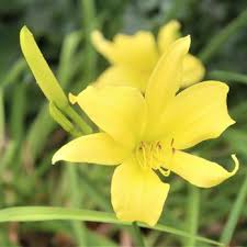 MARJORIE R. POST COMMUNITY PARK