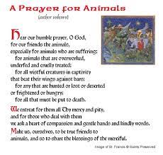 Catholic prayer for a sick pet traditional catholic prayer. Prayer Circle St Gertrude S Kitchen