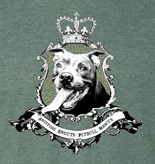 Kids would love him and he was great with angel is a blue nosed pit bull weighing 45 lbs. Sniffing Snouts Pit Bull Rescue Home Facebook