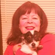 The Adventures of Hercules and Atticus