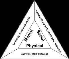 Triangles are used in construction because they provide sturdy foundations to various infrastructures. Promoting A Healthy Lifestyle Your Health Triangle