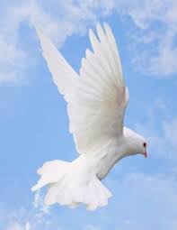 David Harold Darby, Jr. Obituary July 19, 2023