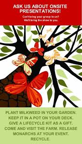 All A Flutter Butterfly Farm In Greensboro Nc Is A Wonderful Place Take Your Children Summer Activities For Kids Day Trips Family Friendly Activities