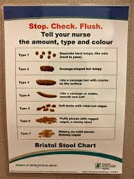 Bristol Stool Chart On The Door Of A Hospital Toilet Cubicle