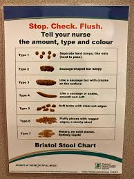 bristol stool chart on the door of a hospital toilet cubicle