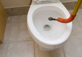 How To Snake A Toilet Clogged Toilet Toilet Repair Plumbing