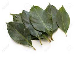 Finally got to experience bay leaf at its new and improved location at bulabog beach, and i was so impressed! Salam Leaves Indonesian Bay Leaf Stock Photo Picture And Royalty Free Image Image 21057357