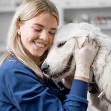 The Dog Guide San Antonio