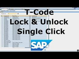 Sap* user got locked due to too many attempts with wrong password. Sap Hana User Locked Detailed Login Instructions Loginnote
