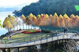 南投落羽松 日月潭落羽松 湖岸自行車道旁最美落羽松步道 日月潭ig打卡景點推薦 寶寶溫旅行親子生活 sun moon lake landscape sun moon